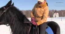 начинаещи конна