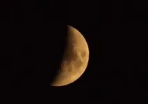 кога кога