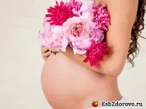 Журавлина та брусниця що корисніші та лікувальні властивості властивості