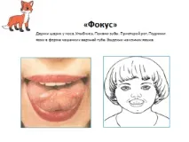 резюме резюме