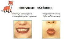 звуци резюме