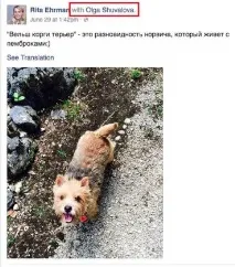 милиона рубли коргите