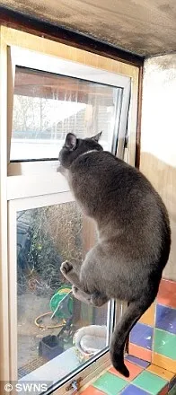 помогна къщата