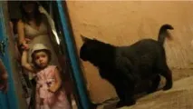 жителі