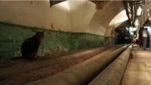 ермітажу