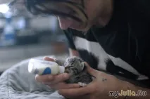 нашого