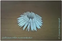 козочки