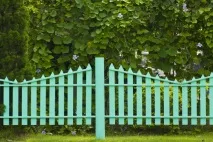 Красиві паркани з дерева фото огорожі