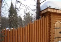 Красиві паркани з дерева фото дерева