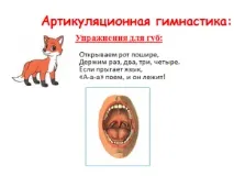 резюме звуци