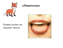 звуци гласна съгласна