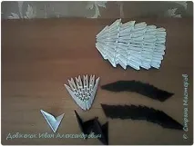 козочки