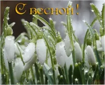 Короткі вірші привітання з початком весни привітання
