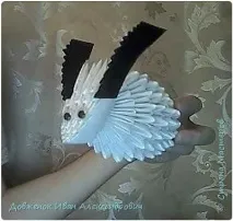козочки