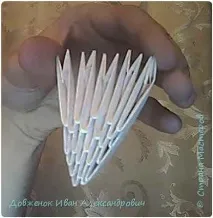 козочки