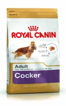 canin възрастен
