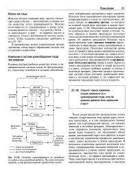 енциклопедия енциклопедия