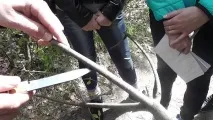 грижи ползи