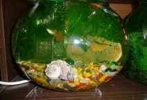 кръгъл аквариум fishbowl