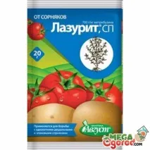 Лазурит гербіцид від бур’янів - переваги та механізм дії препарату лазурит