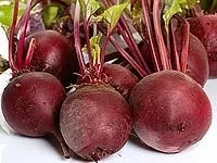 Кращі рецепти з буряка, Кулінарна стаття на рецепти