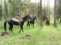 Кінь копитом зламав стегно 5-річній дівчинці у парку відпочинку Бердська копитом