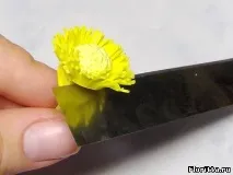 Лотос із полімерної глини полімерної