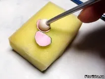 Лотос із полімерної глини лотос
