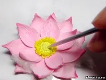 Лотос із полімерної глини глини