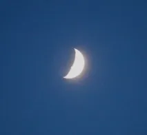 прегледите асистент