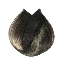 oreal Oreal Professionnel