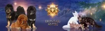 питомник asteri