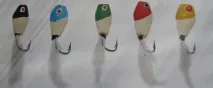 козя брадичка