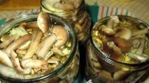 Мариновані опеньки без оцту - покроковий рецепт з фото на рецепт
