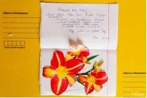 Marv, Wish List Що діти замовляють Діду Морозу діду