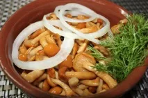 Маринування опеньків на зиму без оцту маринування