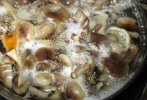 Мариновані опеньки без оцту - покроковий рецепт з фото на мариновані