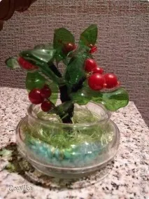 пластмасови