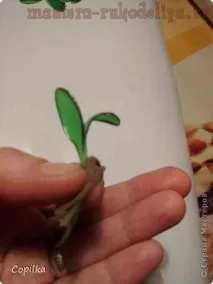 майсторски