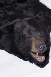 Хутряні покривала та килими від виробника оптом та в роздріб. оптом