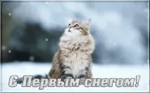 топлината душата ревнуваме