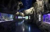 vdnkh мнения