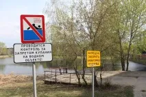 Мертва риба у ставку Качиний хто винен і що робити, Новини Тюмені качиний