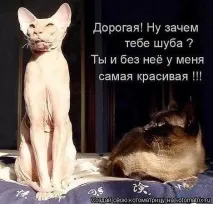 стихове стихове