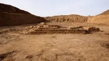 селитренное комплекс