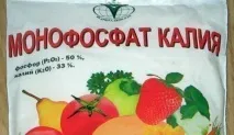 Монофосфат калію застосування для томатів у теплиці та у відкритому грунті застосування