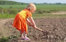 поговорки велики