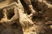 Музейний археологічний комплекс «Селітрене городище» - Археологія - Статті - КЛАДОВА городище