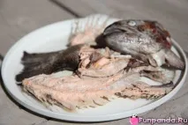 любимото веднъж