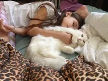 Моє життя з 17 котами (частина 2) котів